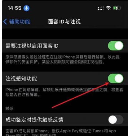 皂市镇苹果14维修网点分享iPhone14注视感知功能有什么用 